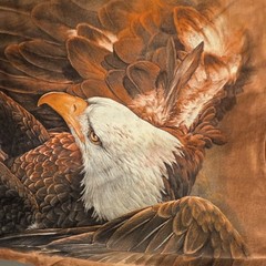 The Mountain Golden Brown Watercolor Tie-Dye Bald Eagle Cotton Crew Tee Med New