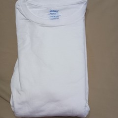Gildan Tagless Lay Flat Collar Medium White T Shirts – 6
