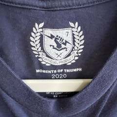 Destiny 2 Moments of Triumph 2020 T-Shirt Medium Men’s Graphic Tee Bungie