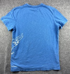American Eagle Outfitters Mens Shirt Size Large Blue Tee Graphic Eagle Print