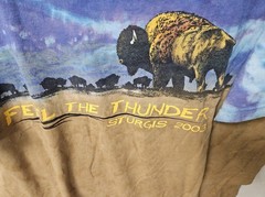 Sturgis Black Hills 2003 Feel The Thunder Bison Tshirt. XL. 63rd Anniversary