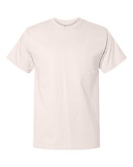 Champion Unisex Classic T-Shirt – T425