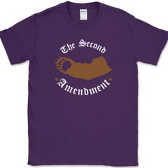Right To Bear Arms T-Shirt Funny 2nd Amendment USA Guns America Tee