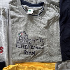 Lot Of 8 T-Shirts Vacation Destination Caribbean Embroidered Comfy SZ Large Bulk