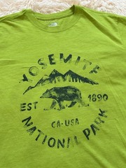 The North Face Mens Green Yosemite Bear Graphic Slim Tee Size L/G