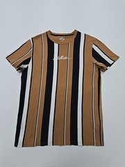 Hollister Men’s Brown Striped Logo Crew Neck T-Shirt Size M Excellent