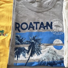 Lot Of 8 T-Shirts Vacation Destination Caribbean Embroidered Comfy SZ Large Bulk