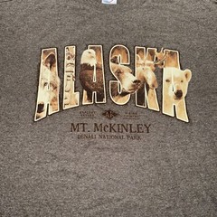 Mt. McKinley DENALI NATIONAL PARK Alaska Size Large Hipster Dad Tee NWOT Nature