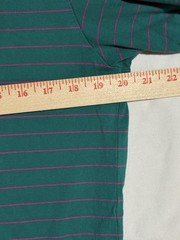 PALACE MEN’S LARGE PETIT STRIPE 220 SS T-SHIRT TEAL & PINK (Fall/Winter 2017)