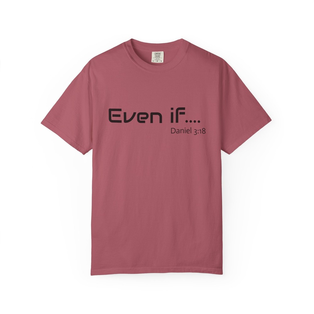 Blank White T-Shirt