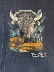Gildan Ultra Cotton Men’s Navy Bison Ranch Graphic Crew Tee Short Sleeve L