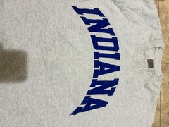 Vintage Indiana Grey T-Shirt Size Large 100% Cotton Fruit of the Loom