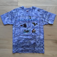 Vintage Colorado Shirt Large Multicolor 90s All Over Print Nature Art Eagle