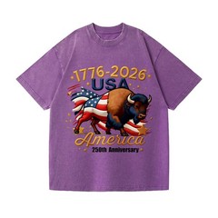 Patriotic 250th Anniversary Buffalo Washed T-Shirt – 1776-2026 USA Tee