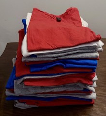 Bulk Blank T-Shirts Lot – Gildan Softstyle 64000 – 80 Units – Mixed Sizes – New
