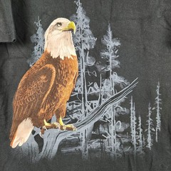 Vintage Eagle Nature Shirt Mens Large Bald Y2K Blackwater Falls West Virginia