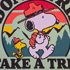 Peanuts® Hiking Snoopy t shirt Men Large Green Charlie Brown Classic Camping NWT