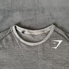 OG Gymshark Phantom Seamless T-Shirt in Grey (2016 David Laid)