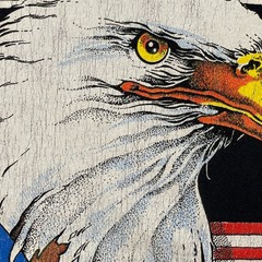 Vintage 80’s American Pride Patriotic USA Eagle Shirt Medium 19×27 Black