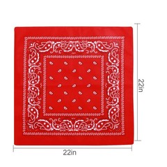 CECIAOAIME 16 Pcs Bandanas Multi-Purpose Bandanas Paisley Cowboy Polyester He…