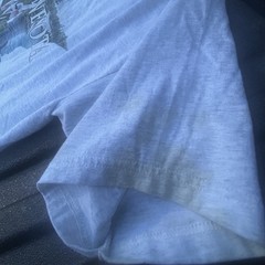 Vintage Fruit of the Loom Minnesota graphic tee size XL. Some stains on sleeve