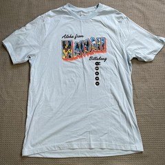 Billabong Tee Shirt Medium Adult Unisex Men’s Aloha Hawaii NWOT Blue