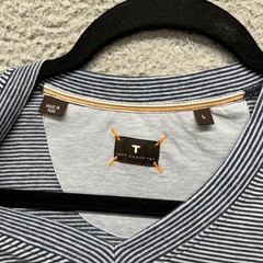 Left Coast Tee Shirt Mens L Blue Striped V Neck Cotton Peru Preppy Classic