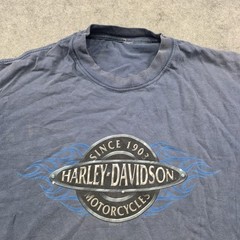 VTG 2005 Harley Davidson T Shirt Mens XL? Blue Greensboro NC Flames Graphic Tee