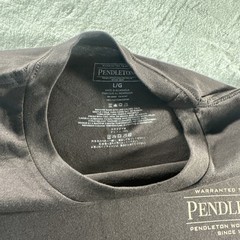 Pendleton Men’s graphic T Shirt Brown Short Sleeve Outdoors Camping LARGE NWOT
