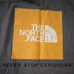 The North Face Men’s Gray XL Regular Short Sleeve Crew Neck Graphic Logo Tee
