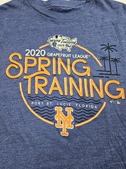 Fanatics T Shirt NY Yankees Men Blue L Grapefruit League Spring Training 2020
