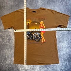 Harley Davidson Classic Models Pinup Girl T-Shirt Mens Large Brown Aurora CO