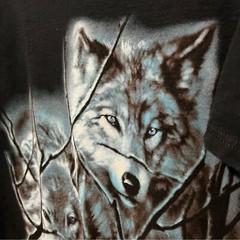 Wolf Print Metallic Foil Blue Eyes T Shirt Mens Medium Black Woods