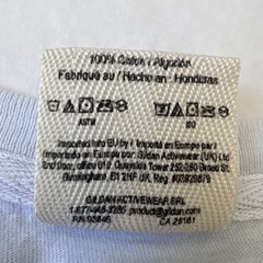 Official Pi Beta Phi Sorority Fall Formal VW Van Beach Sunset Shirt Medium Vtg.