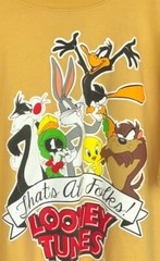 LOONEY TUNES Juniors T-Shirt That’s all Folks Graphic Yellow Size XL(15/17) EUC