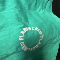 PAPER PLANES ✈️ CREW LOVE TEE IN ISLAND GREEN SIZE 2XL🔥