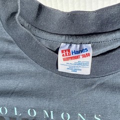 Vtg Hanes Heavyweight 50/50 Single Stitch Solomons Island Tourist T-Shirt 90’s L