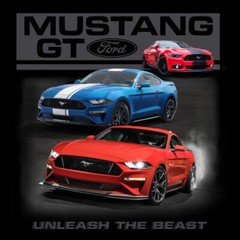 Joe Blow T’s Ford Mustang GT Unleash The Beast Men’s Black T-Shirt 6th Gen