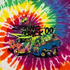 Vintage Spring Back Mount Vernon Ohio Shirt Men’s Large Tie Dye Psychedelic Van