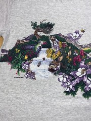 Vintage Ferndale California Nature Shirt XL Gray Double Sided 90s 12372
