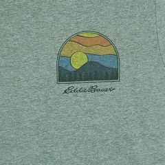 Eddie Bauer Shirt Men XL Gray Mountain Nature Outdoor Graphic Tee Cotton Blend