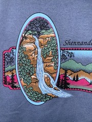 90s Vintage Shenandoah National Park Mountain Blue Nature Shirt Tee 1990s VTG M