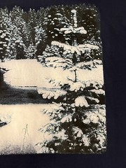Vintage Graphic Tshirt Winter Scene Single Stitch Snowy Trees Creek 90s Size XL