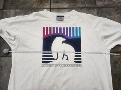 Vintage 90s University Of Alaska Fairbanks Men’s XL Nanooks Oneita T Shirt