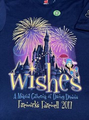 Disney Magic Kingdom Wishes Fireworks Farewell 2017 Passholder Glow in Dark 3XL