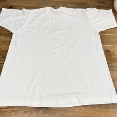 VTG 90s Fruit of the Loom Lachryma Montis Sonoma Park Art Sports T Shirt Xl