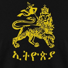Rastafari Lion Of Judah Men’s T-Shirt