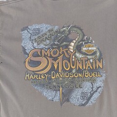 Harley Davidson I Rode The Dragon T Shirt Size Large Gray Smokey Mountain TN 07