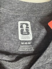 FIFA Official Licensed 2 Pack T-Shirts World Cup Trophy Graphic Gray