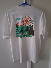 Lot Of 10 T-Shirts NWT (9) / Used (1) Patagonia Nike Harley Columbia North Face